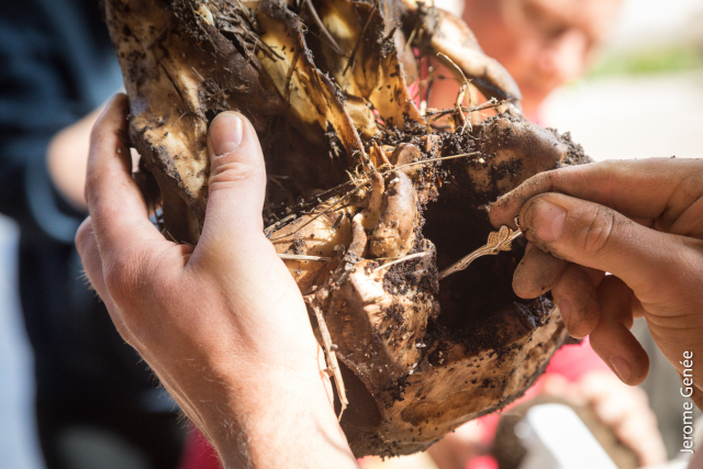 selection livre alsace biodynamie