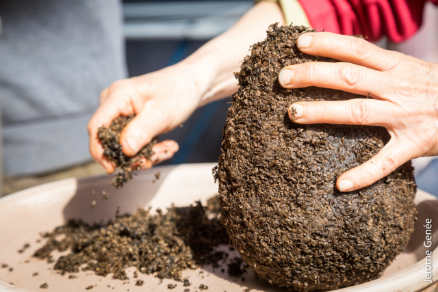selection livre alsace biodynamie