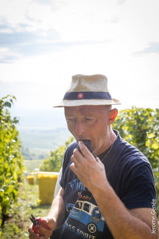 selection livre alsace biodynamie