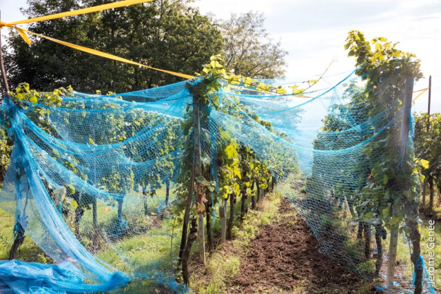 selection livre alsace biodynamie