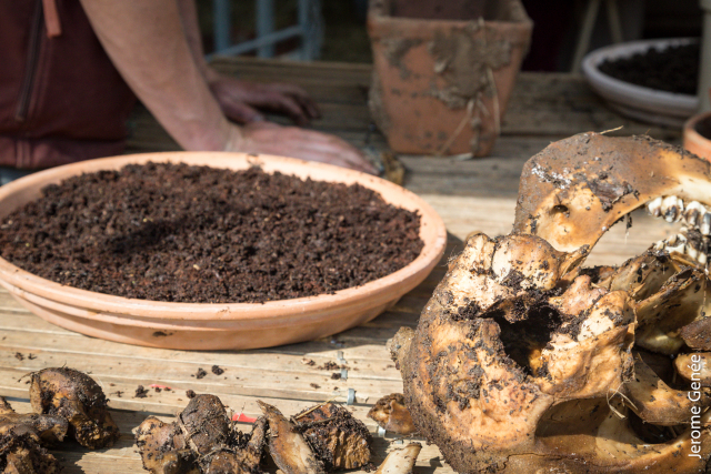 selection livre alsace biodynamie