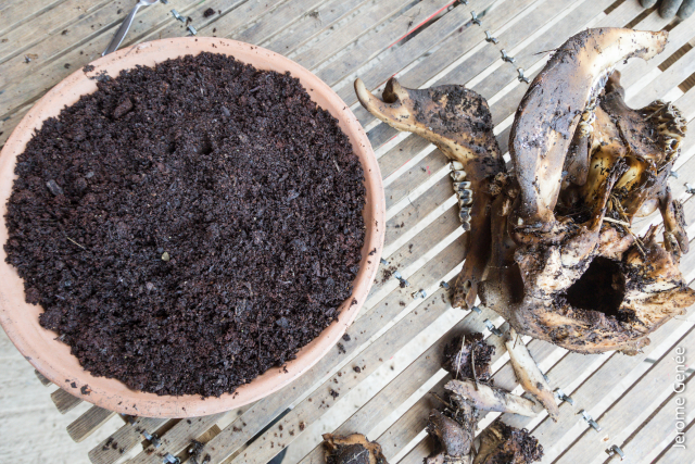 selection livre alsace biodynamie