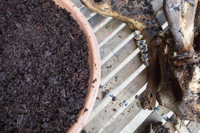 selection livre alsace biodynamie