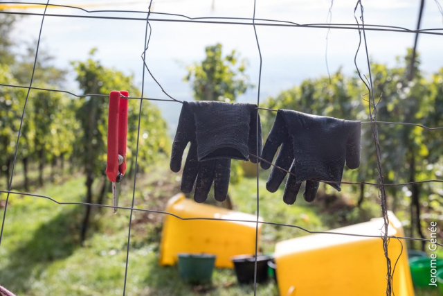 selection livre alsace biodynamie