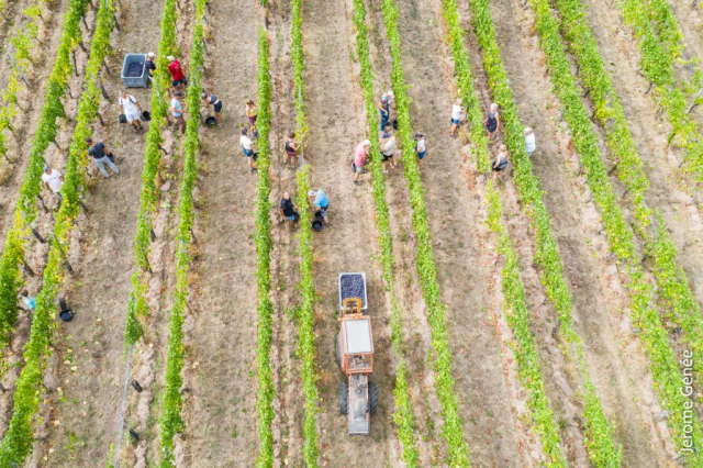 selection livre alsace biodynamie