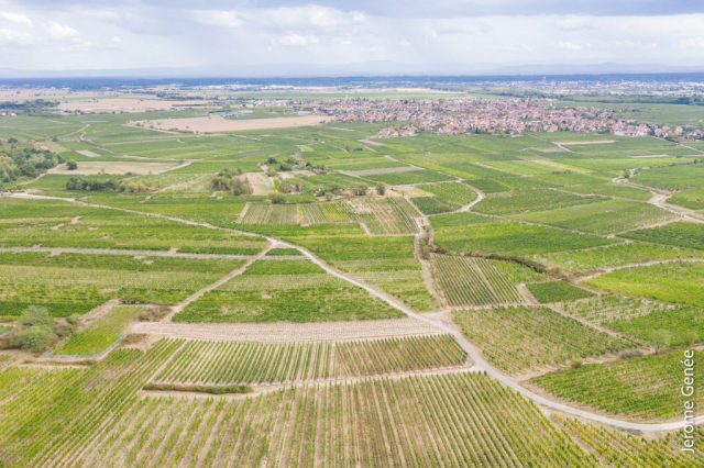 selection livre alsace biodynamie