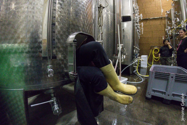 selection livre alsace biodynamie