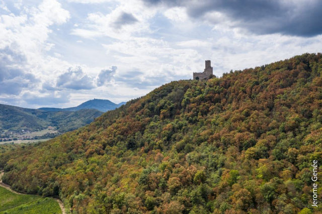 selection livre alsace biodynamie