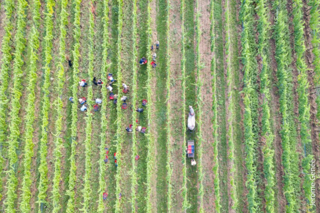 selection livre alsace biodynamie