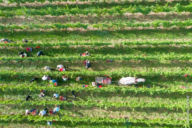 selection livre alsace biodynamie