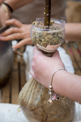 selection livre alsace biodynamie