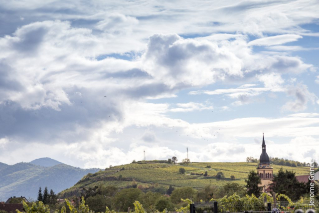 selection livre alsace biodynamie
