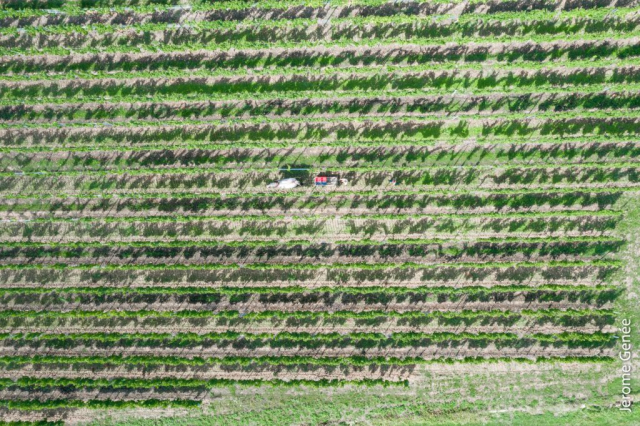 selection livre alsace biodynamie
