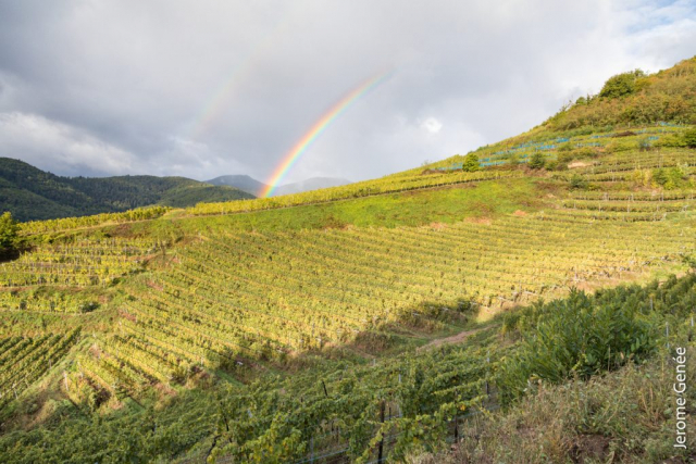 selection livre alsace biodynamie