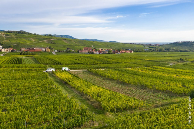 selection livre alsace biodynamie