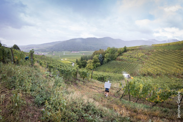 selection livre alsace biodynamie