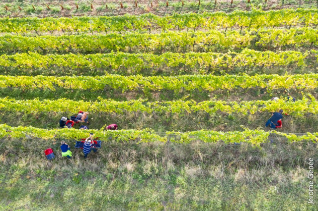 selection livre alsace biodynamie