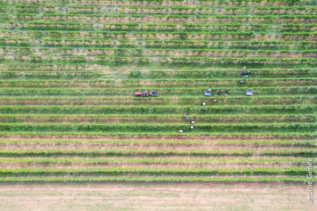 selection livre alsace biodynamie