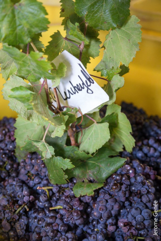 selection livre alsace biodynamie