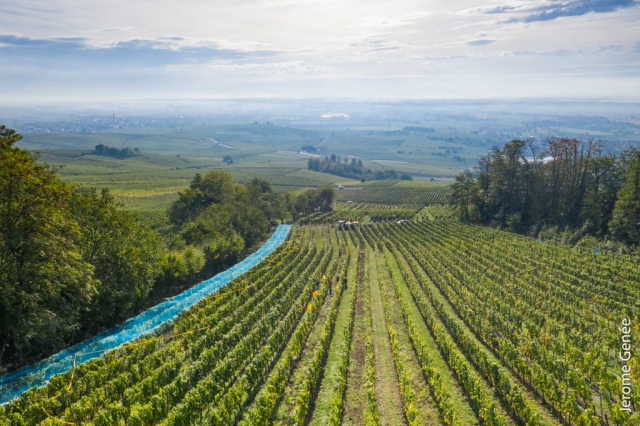 selection livre alsace biodynamie