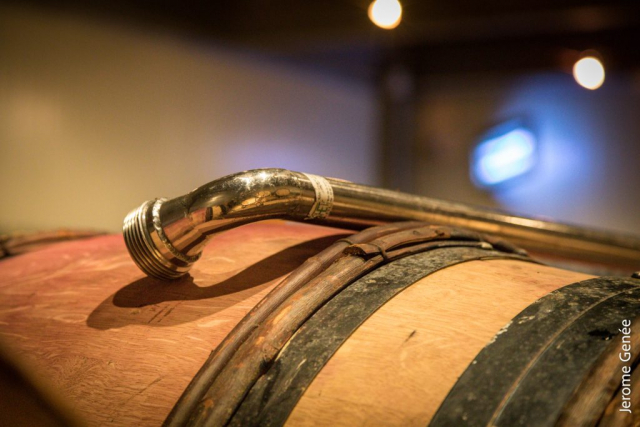 selection livre alsace biodynamie