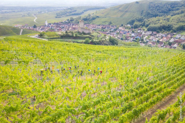 selection livre alsace biodynamie