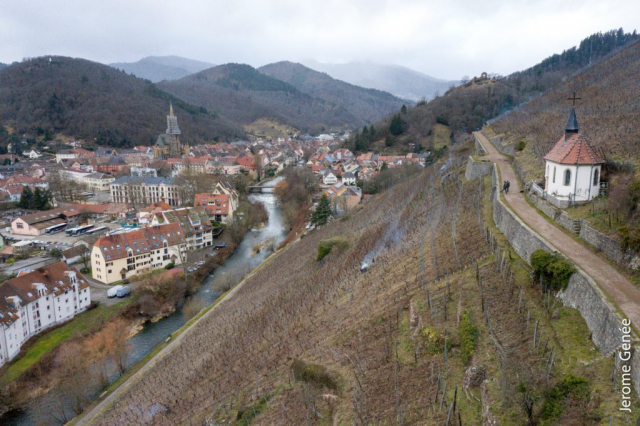 selection livre alsace biodynamie