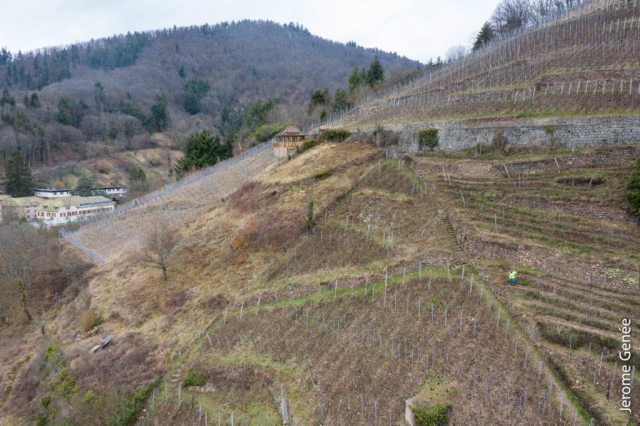 selection livre alsace biodynamie