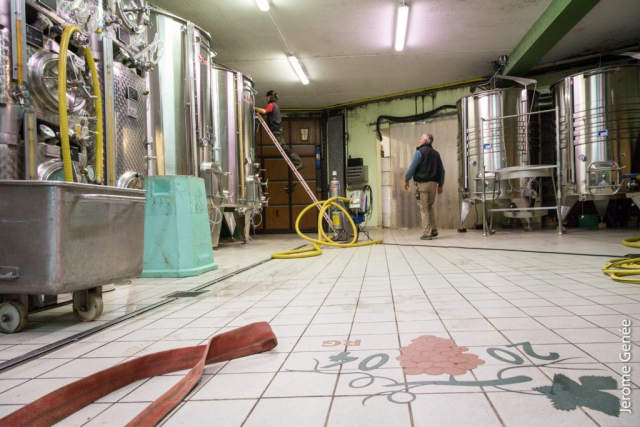 selection livre alsace biodynamie