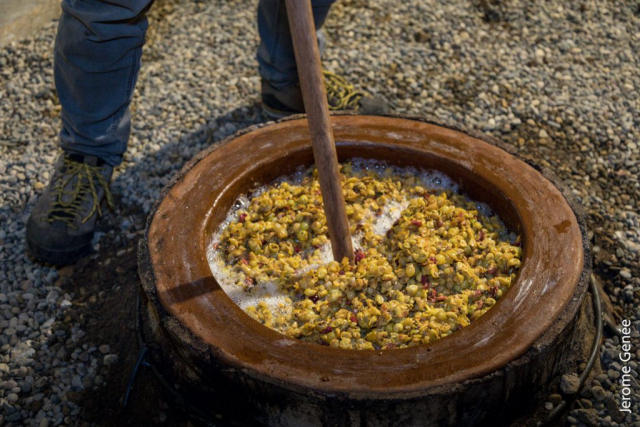 selection livre alsace biodynamie