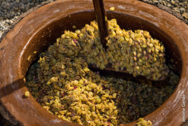 selection livre alsace biodynamie