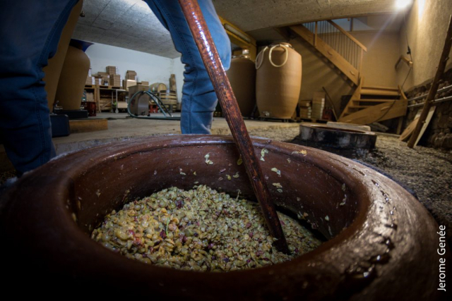 selection livre alsace biodynamie