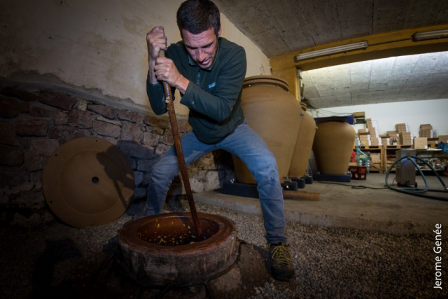 selection livre alsace biodynamie