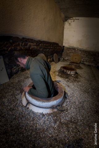 selection livre alsace biodynamie