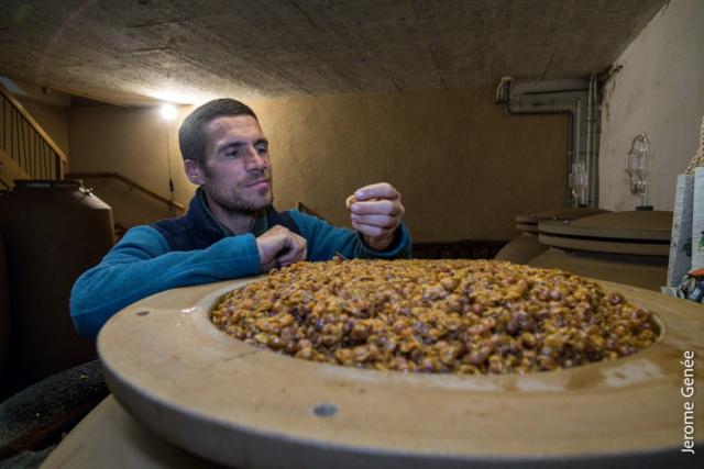 selection livre alsace biodynamie