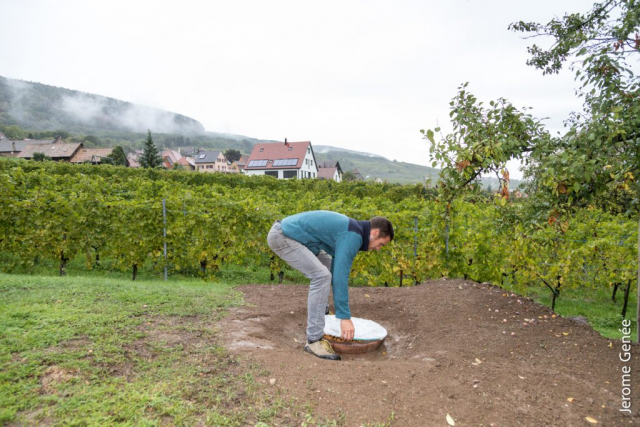 selection livre alsace biodynamie