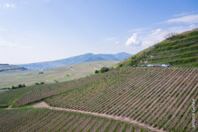 selection livre alsace biodynamie