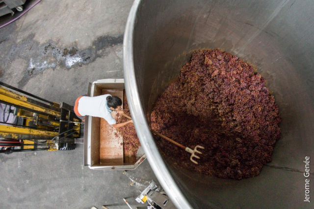 selection livre alsace biodynamie