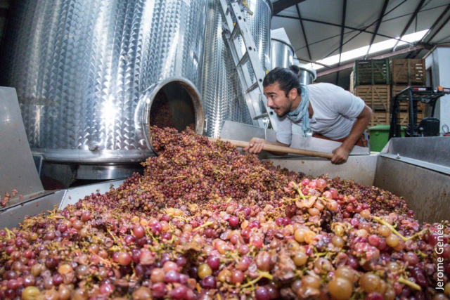 selection livre alsace biodynamie