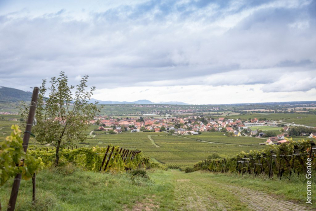 selection livre alsace biodynamie