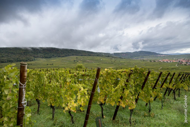 selection livre alsace biodynamie