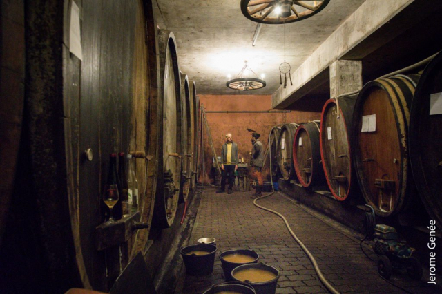 selection livre alsace biodynamie