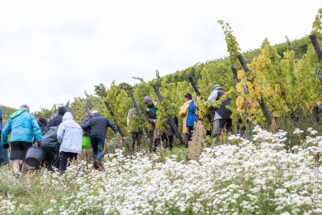 selection livre alsace biodynamie