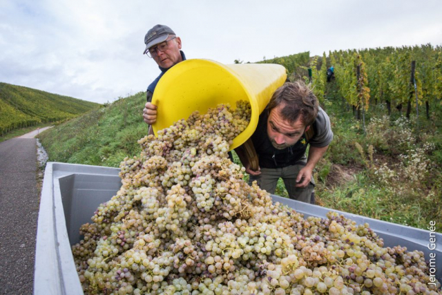 selection livre alsace biodynamie