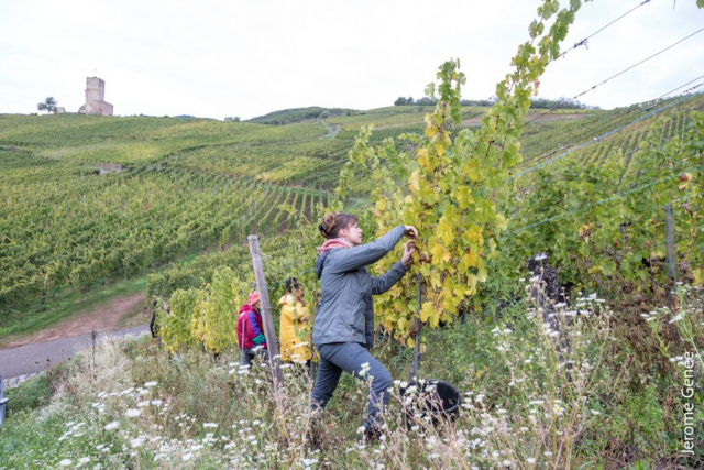 selection livre alsace biodynamie