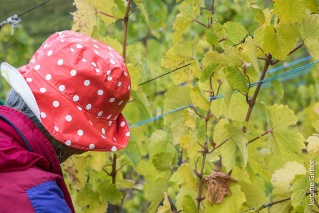 selection livre alsace biodynamie