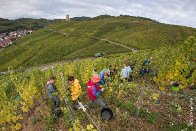 selection livre alsace biodynamie