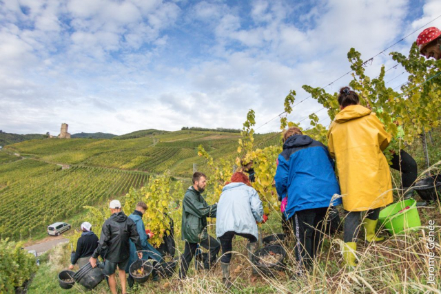 selection livre alsace biodynamie