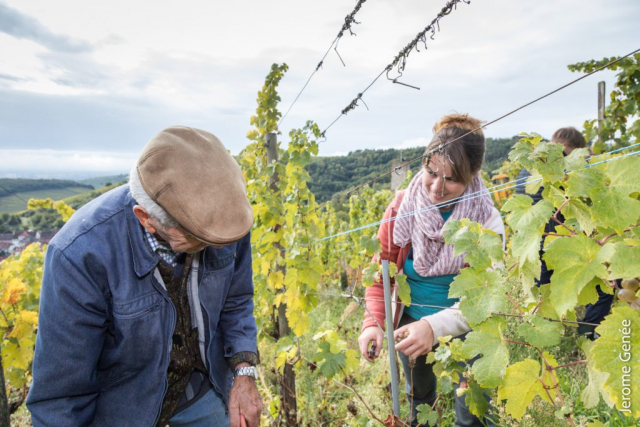 selection livre alsace biodynamie