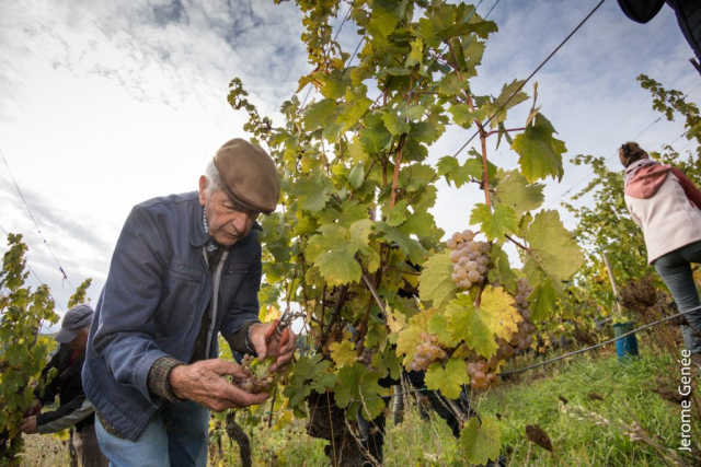 selection livre alsace biodynamie
